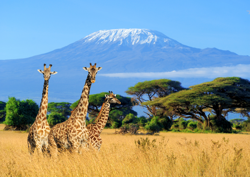 Wohin nach Kenia reisen?